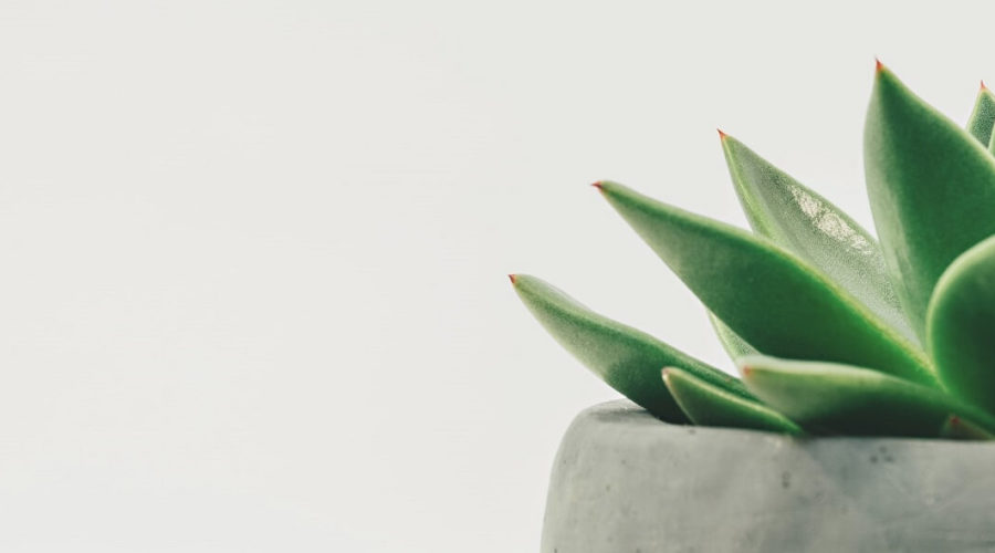 Simple Styling Tips to Accessorize and Finish Any Room in Your Home