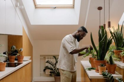 Eco Friendly And Sustainable Ways To Spruce Up Your Living Space