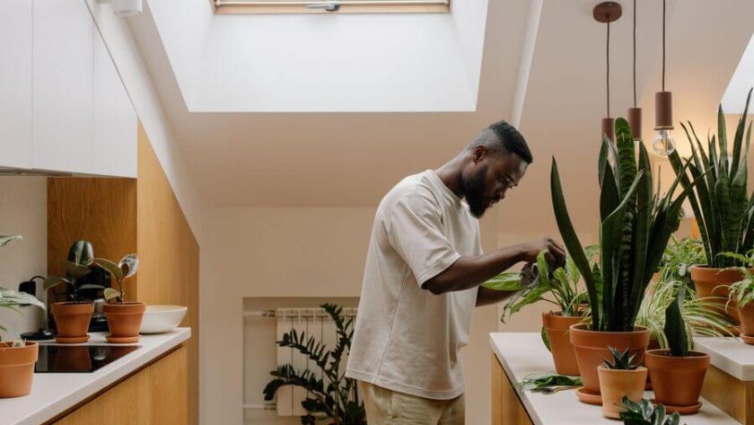 Eco Friendly And Sustainable Ways To Spruce Up Your Living Space
